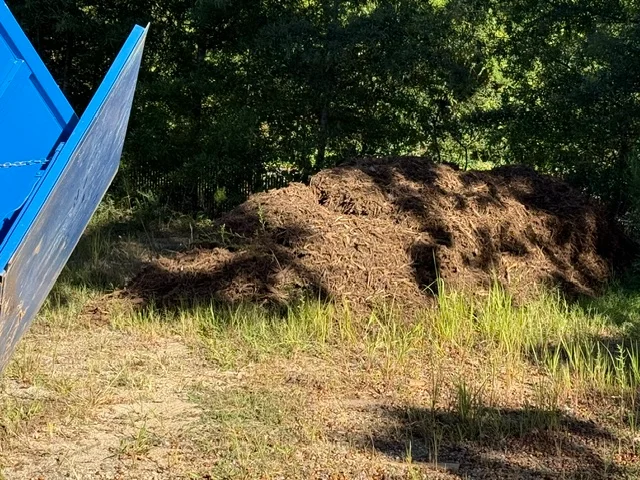 Large pile of wood chips and yard debris removed from residential property with blue dumpster visible